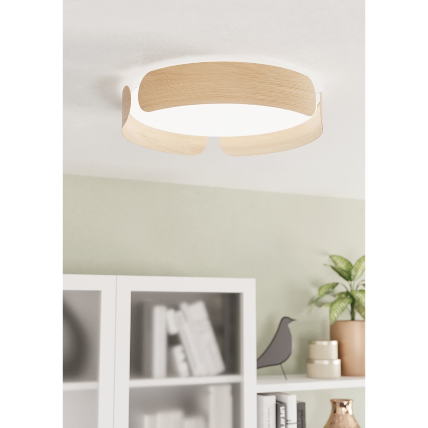 Eglo - LED loftlampe LED/24W/230V