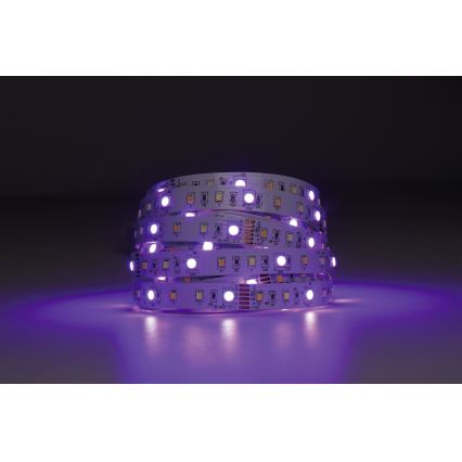 Eglo - LED strip m. RGBW-farver dæmpbar 5 m LED/11W/12/230V 2700-6500K ZigBee