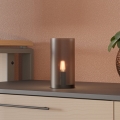 Eglo - Bordlampe 1xE14/60W/230V beige