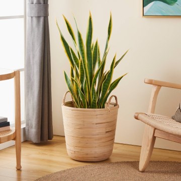 Eglo - Dekorativ kurv 41x36 cm beige