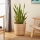 Eglo - Dekorativ kurv 41x36 cm beige