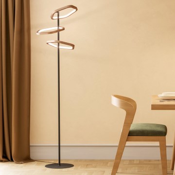 Eglo - Dæmpbar LED-gulvlampe LED/20W/230V messing