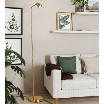 Eglo - Gulvlampe 1xGU10/5W/230V guldfarvet