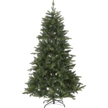 Eglo - Juletræ 180 cm gran