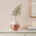 Eglo - Keramisk vase 22x16 cm hvid/guldfarvet