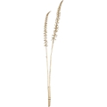 Eglo - Kunstig blomst 71,5 cm guldfarvet