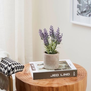 Eglo - Kunstig plante i potte 22x8 cm lavendel