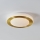 Eglo - LED badeværelsesloftlampe LED/10,8W/230V IP44