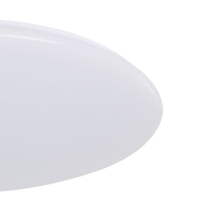 Eglo - LED dæmpbar loftlampe LED/80W/230V + fjernbetjening