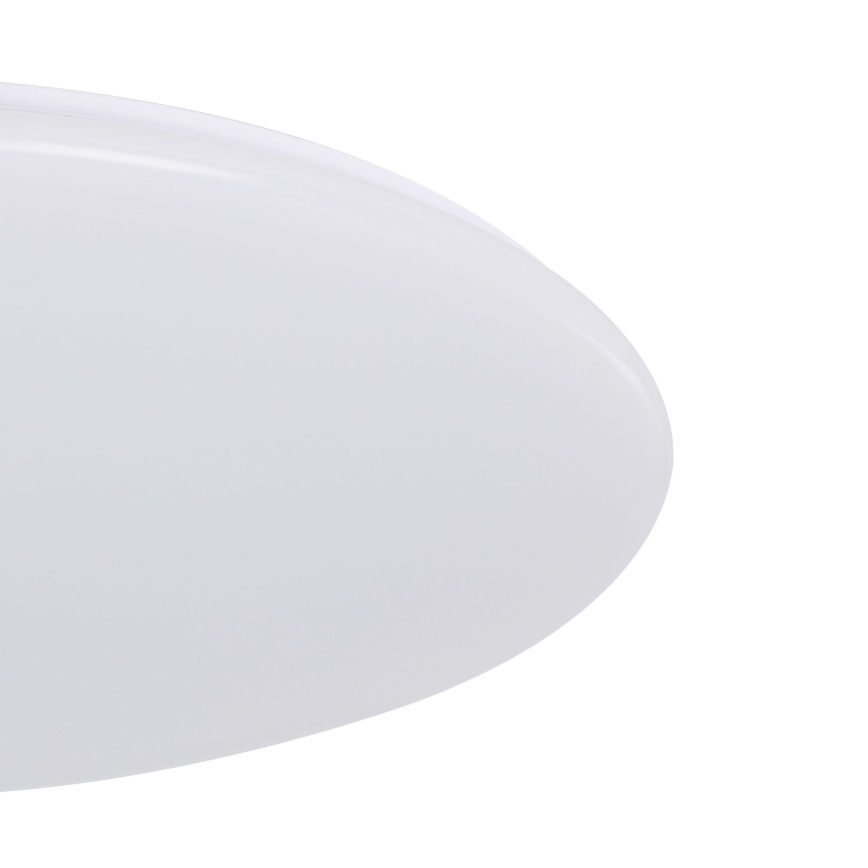 Eglo - LED dæmpbar loftlampe LED/80W/230V + fjernbetjening