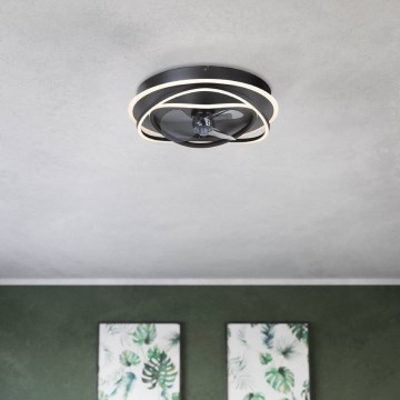 Eglo - LED-dæmpbar loftventilator 4xLED/9W/230V 2700-6500K Ø 50 cm sort + fjernbetjening