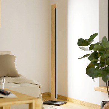 Eglo - LED Dæmpbar touch-funktion gulvlampe CAMACHO LED/22W/230V