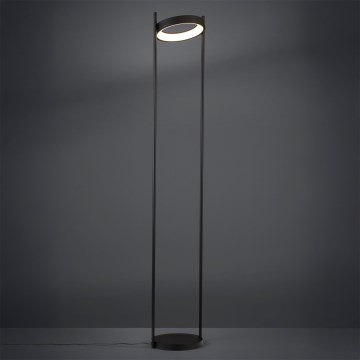 Eglo - LED gulvlampe dæmpbar LED/20W/230V 3000K sort