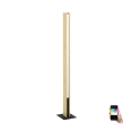 Eglo - LED gulvlampe m. RGBW-farver dæmpbar LED/35W/230V 2700-6500K