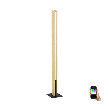 Eglo - LED gulvlampe m. RGBW-farver dæmpbar LED/35W/230V 2700-6500K