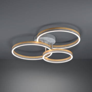 Eglo - LED loftlampe dæmpbar LED/12,5W/230V + 2xLED/15,5W 3000K grå/eg