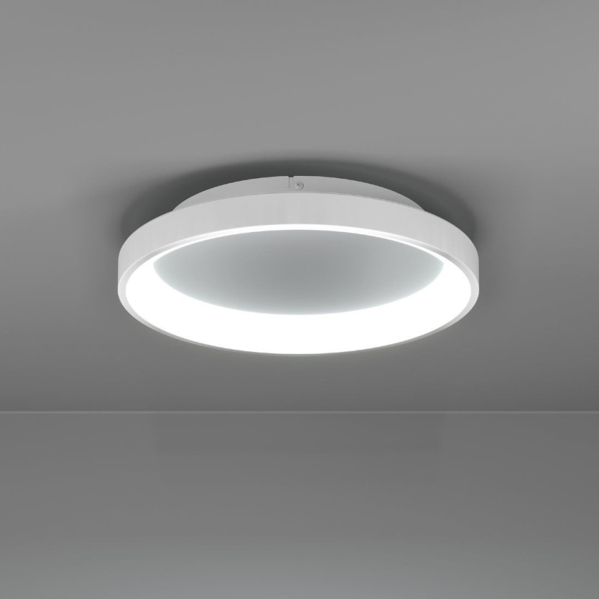 Eglo - LED loftlampe dæmpbar LED/12W/230V 2700-6500K hvid + fjernbetjening