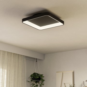 Eglo - LED loftlampe dæmpbar LED/12W/230V 2700-6500K sort + fjernbetjening