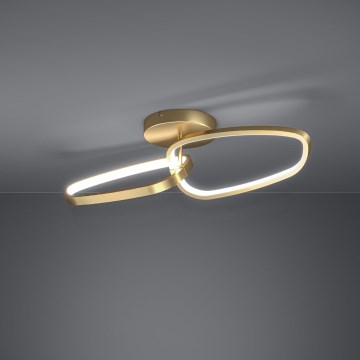 Eglo - LED loftlampe dæmpbar LED/25W/230V 3000K guldfarvet