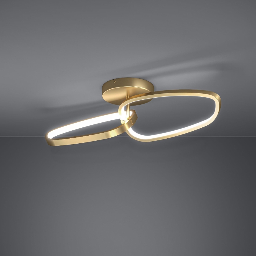 Eglo - LED loftlampe dæmpbar LED/25W/230V 3000K guldfarvet