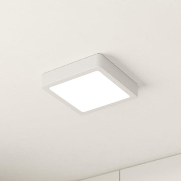 Eglo - LED loftlampe LED/10,5W/230V 16x16 cm