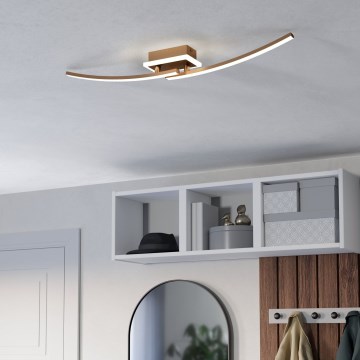 Eglo - LED loftlampe LED/12W/230V 4000K kobber