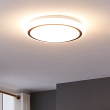 Eglo - LED loftlampe LED/14,6W/230V