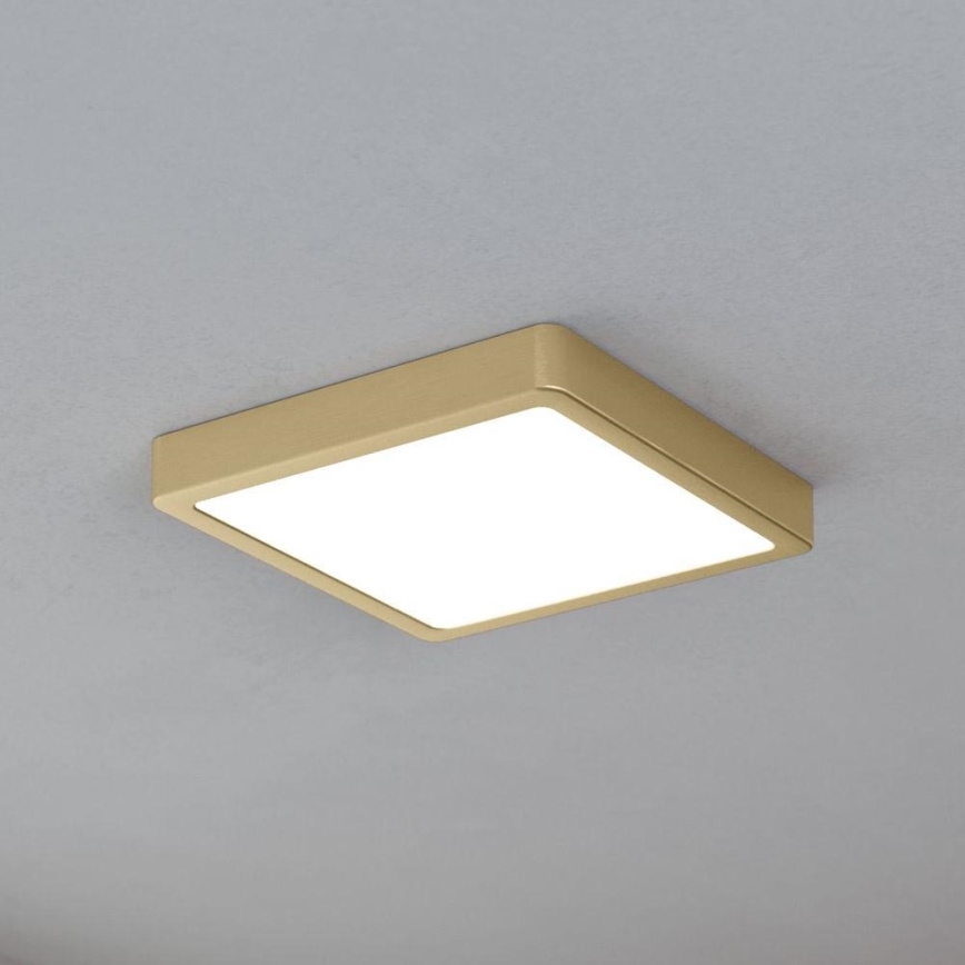 Eglo - LED loftlampe LED/17W/230V 21x21 cm