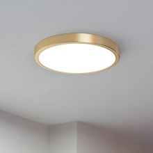 Eglo - LED loftlampe LED/20,5W/230V diameter 28,5 cm