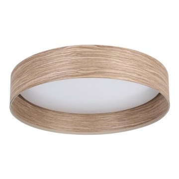 Eglo - LED loftlampe LED/24W/230V