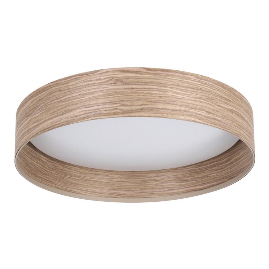 Eglo - LED loftlampe LED/24W/230V