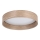 Eglo - LED loftlampe LED/24W/230V