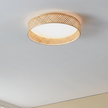 Eglo - LED loftlampe LED/24W/230V