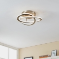 Eglo - LED Loftlampe LED/35W/230V