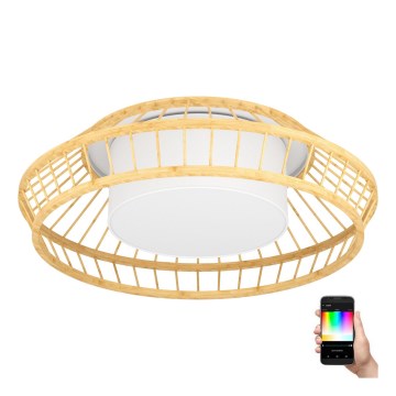 Eglo - LED loftlampe m. RGBW-farver dæmpbar LED/22W/230V 2700-6500K