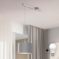 Eglo - LED Loftlampe på kabel CALCENA 1xE27/60W/230V krom/grå