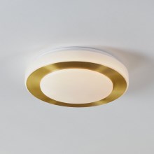 Eglo - LED loftlampe til badeværelse LED/10,8W/230V IP44