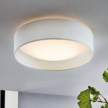 Eglo - LED loftsbelysning 1xLED/11W/230V