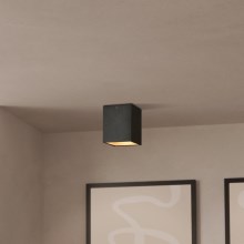 Eglo - LED loftsbelysning 1xLED/3,3W/230V