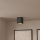 Eglo - LED loftsbelysning 1xLED/3,3W/230V