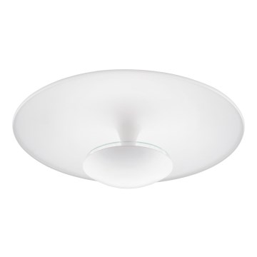Eglo - LED loftsbelysning LED/24W/230V
