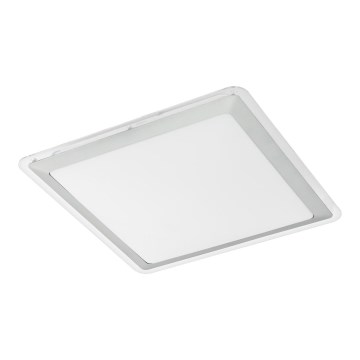 Eglo - LED loftsbelysning LED/24W/230V