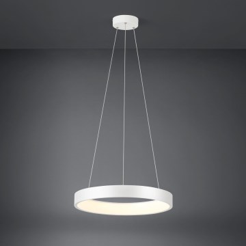 Eglo - LED pendel dæmpbar LED/34W/230V