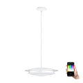 Eglo - LED RGB dæmpbar loftlampe på kabel MONEVA-C LED/18W/230V