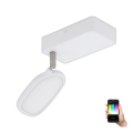 Eglo - LED RGB spotlampe PALOMBARE-C 1xLED/5W/230V