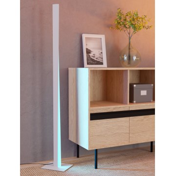 Eglo - LED RGBW dæmpbar gulvlampe LED/10,5W/230V + LED/15,2W grå