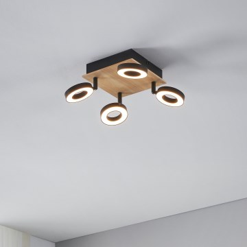 Eglo - LED-spotlampe 4xLED/4,2W/230V sort/brun