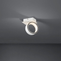 Eglo - LED spotlampe LED/4,6W/230V 3000K