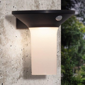 Eglo - LED udendørs solcellelampe med sensor 6xLED/0,03W/3,7V IP44
