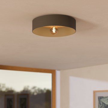 Eglo - Loftlampe 1xE27/40W/230V grå